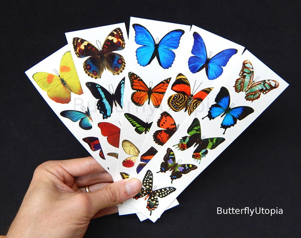 Temporary Butterfly Tattoos