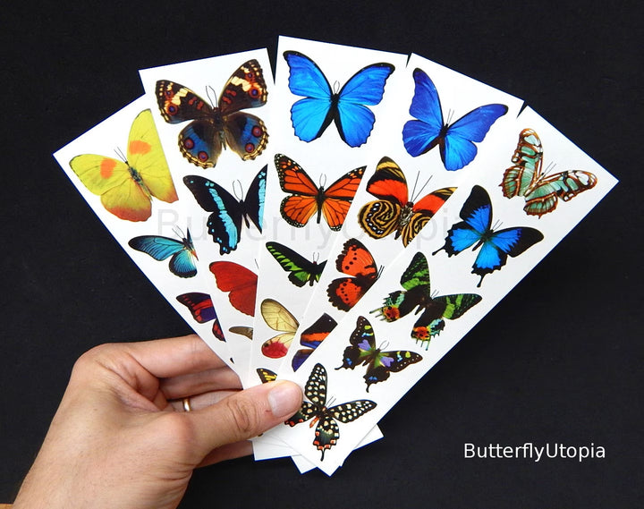 Temporary Butterfly Tattoos
