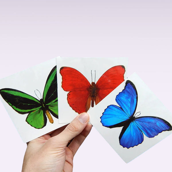 Giant Butterfly Temporary Tattoos