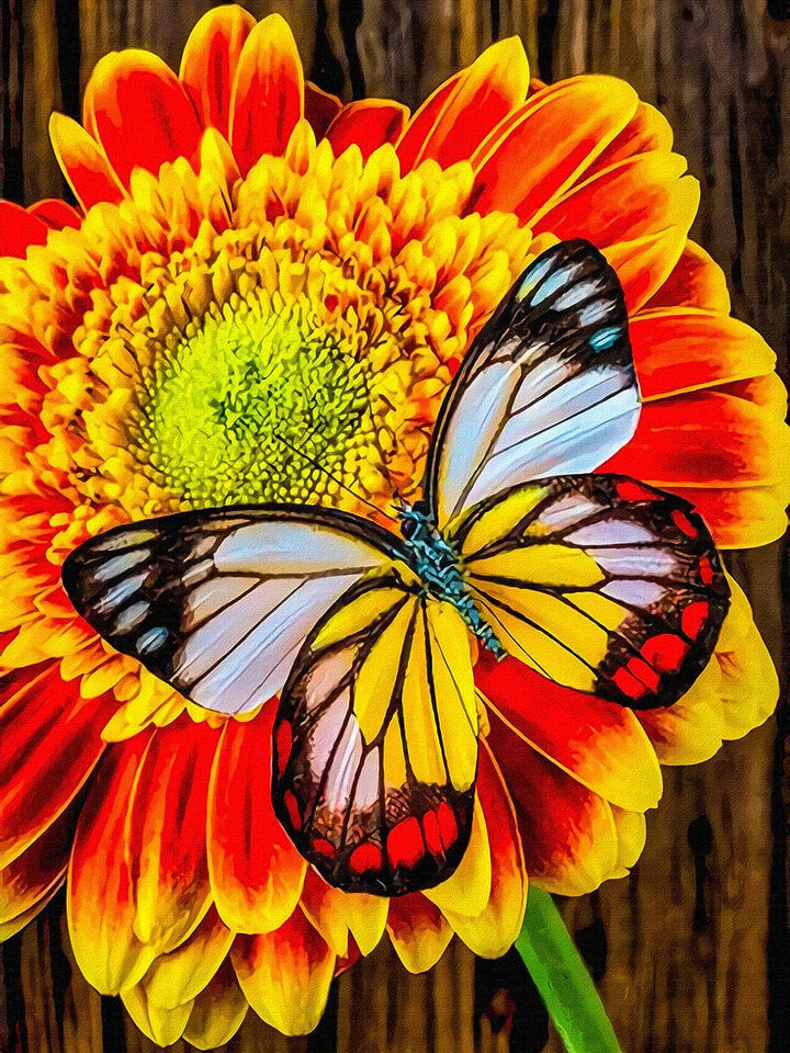 DIY Red Rose with Butterfly Diamond Painting