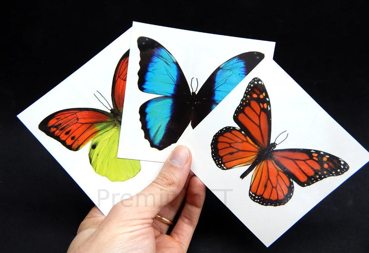 Giant Butterfly Temporary Tattoos